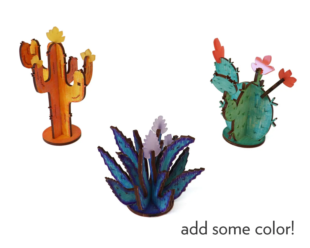Agave Cactus Kit