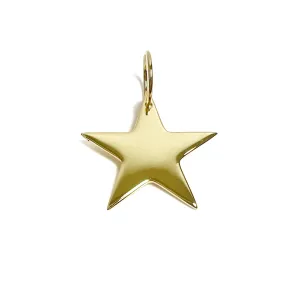 Flat Star Charm