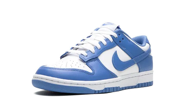 Nike Dunk Low 'Polar Blue'