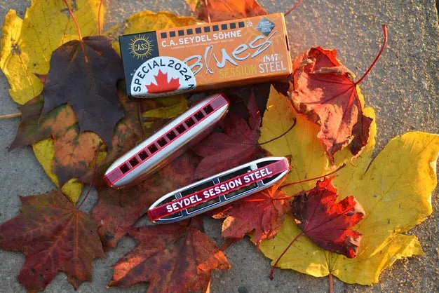 Seydel Blues SESSION STEEL Diatonic Harmonica, Canadian (Anniversary Edition)